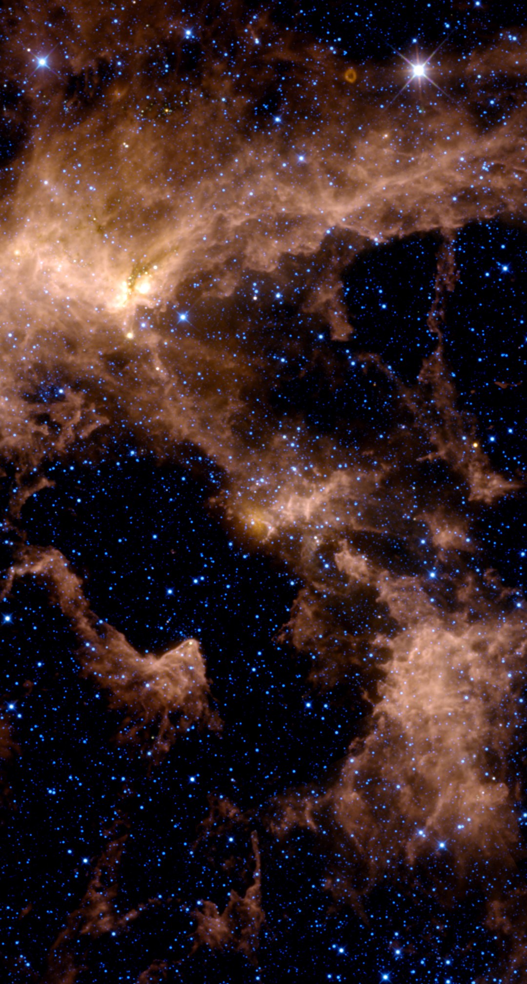 The Heart Nebula in infrared from NASA WISE data, placed on the same framing as the backyard photo — orange ridges of warm dust along the shell, with the bright dust of the W3 star-forming complex spilling in at the upper left.