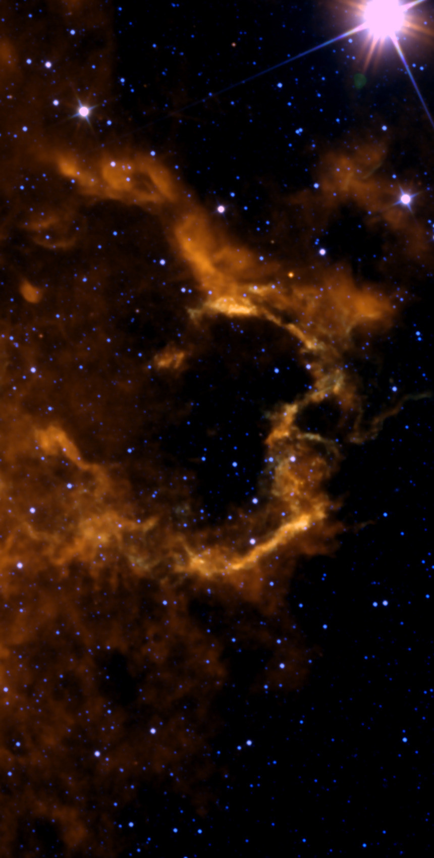 The Jellyfish Nebula field in infrared from NASA WISE data, placed on the same framing as the backyard photo — a ragged ring of warm orange emission around the middle of the frame, with the bright star Eta Geminorum and its diffraction spikes at the top right.