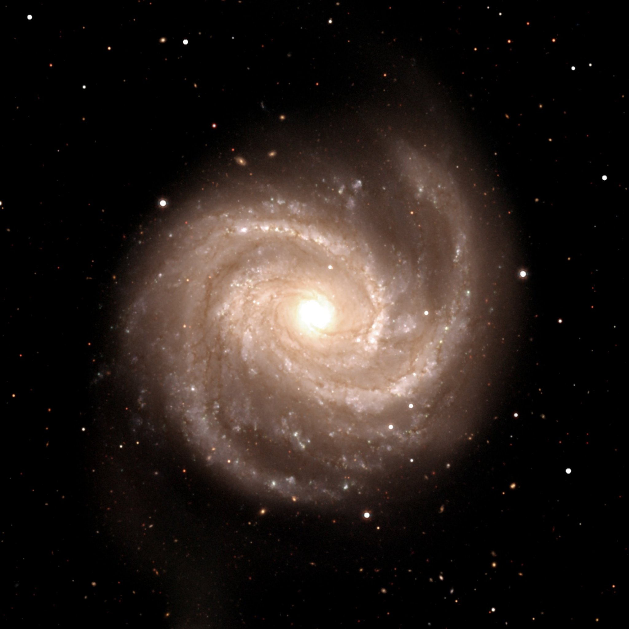 Grand-design spiral galaxy M100 from DESI Legacy Survey data reprocessed by Kyle Eberly — two dominant cream-colored spiral arms wound around a compact bright core, laced with dust lanes and star-forming knots.