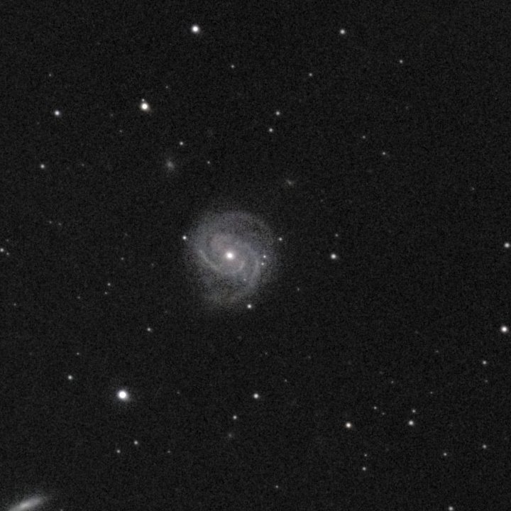 M100 photographed from Bahía de los Ángeles, Baja California with a ZWO Seestar S50 — a face-on spiral galaxy in the center of the frame with resolved arm structure, accompanied by an edge-on companion galaxy in the lower-left and several other faint Virgo Cluster members scattered through the field.