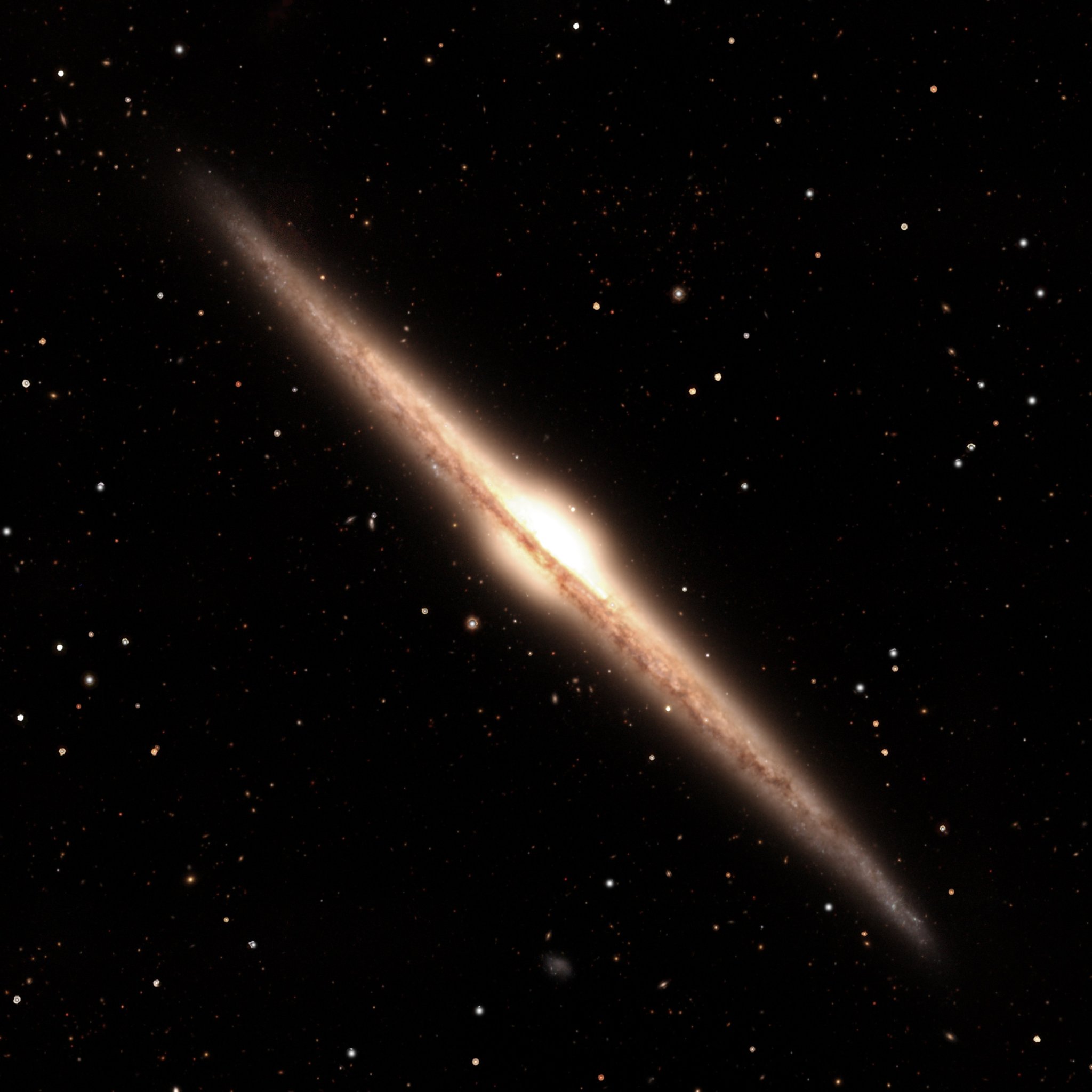 The Needle Galaxy (NGC 4565) from DESI Legacy Survey data reprocessed by Kyle Eberly — a razor-thin edge-on spiral galaxy crossing the frame diagonally, a warm central bulge split lengthwise by a dark dust lane.
