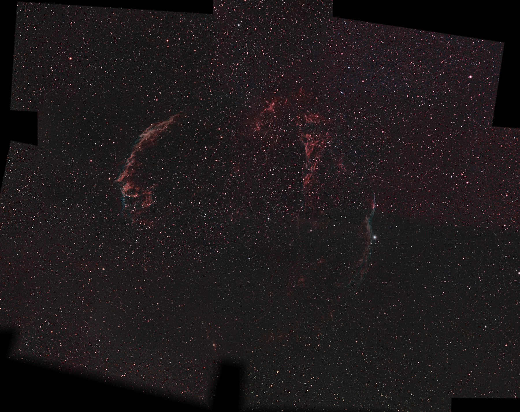 A nineteen-frame mosaic of the full Veil Nebula photographed from Lakeway, Texas with two Seestar telescopes: the Eastern Veil arc at left, the filaments of Pickering’s Triangle at upper center, the Western Veil running down the right side past the bright star 52 Cygni, and faint red filaments of the southern rim across the bottom, north up.
